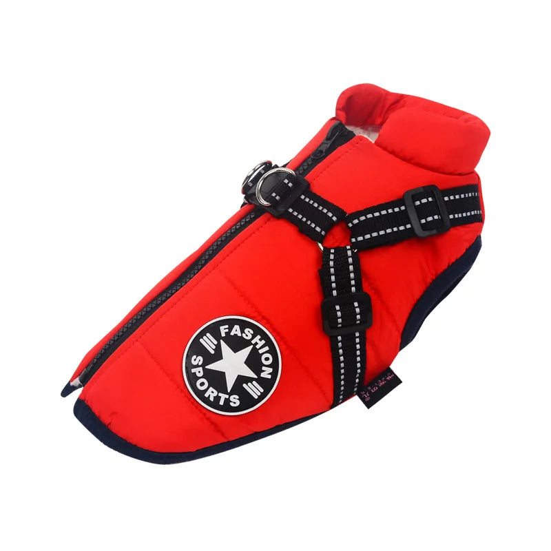 BowLift | Frost protection for your pet