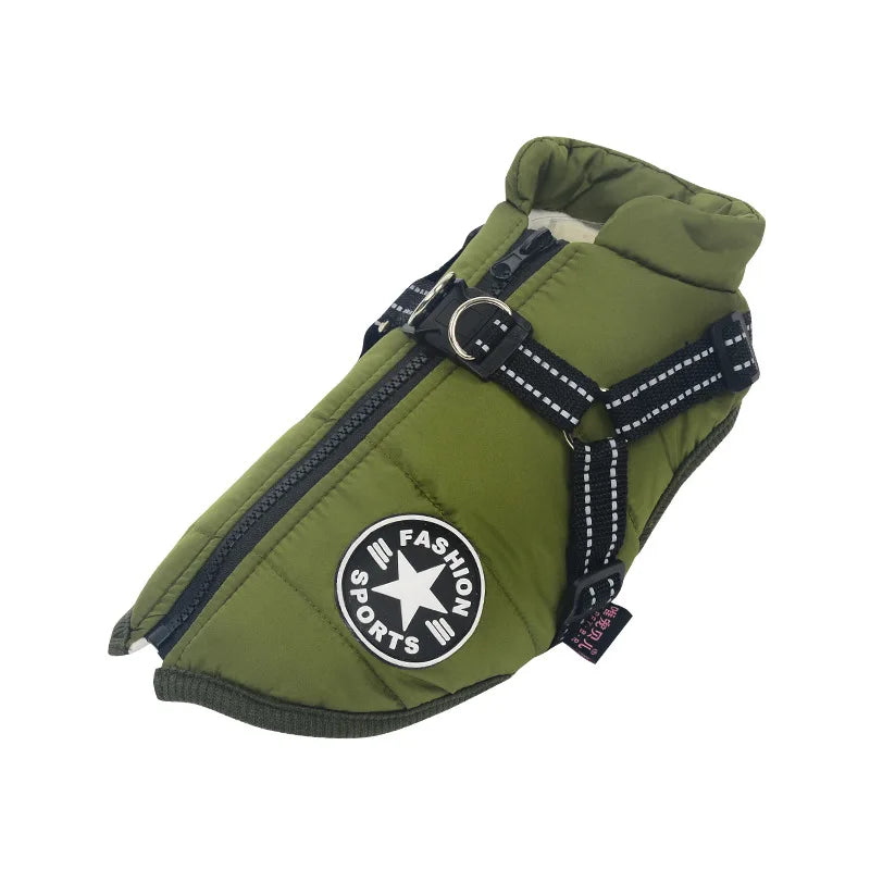 BowLift | Frost protection for your pet