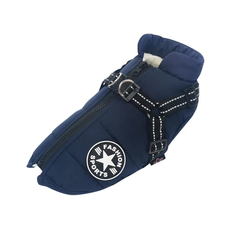 BowLift | Frost protection for your pet