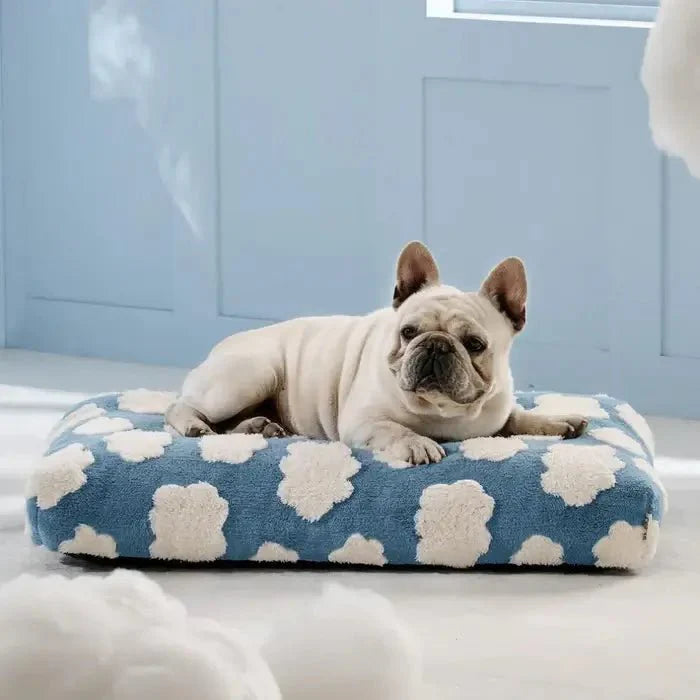 AquaRest • Waterproof Dog Bed for Indoor & Outdoor Comfort