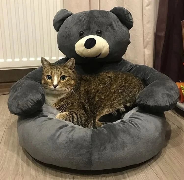 BowLift | Cozy Cat Bed with Security & Comfort