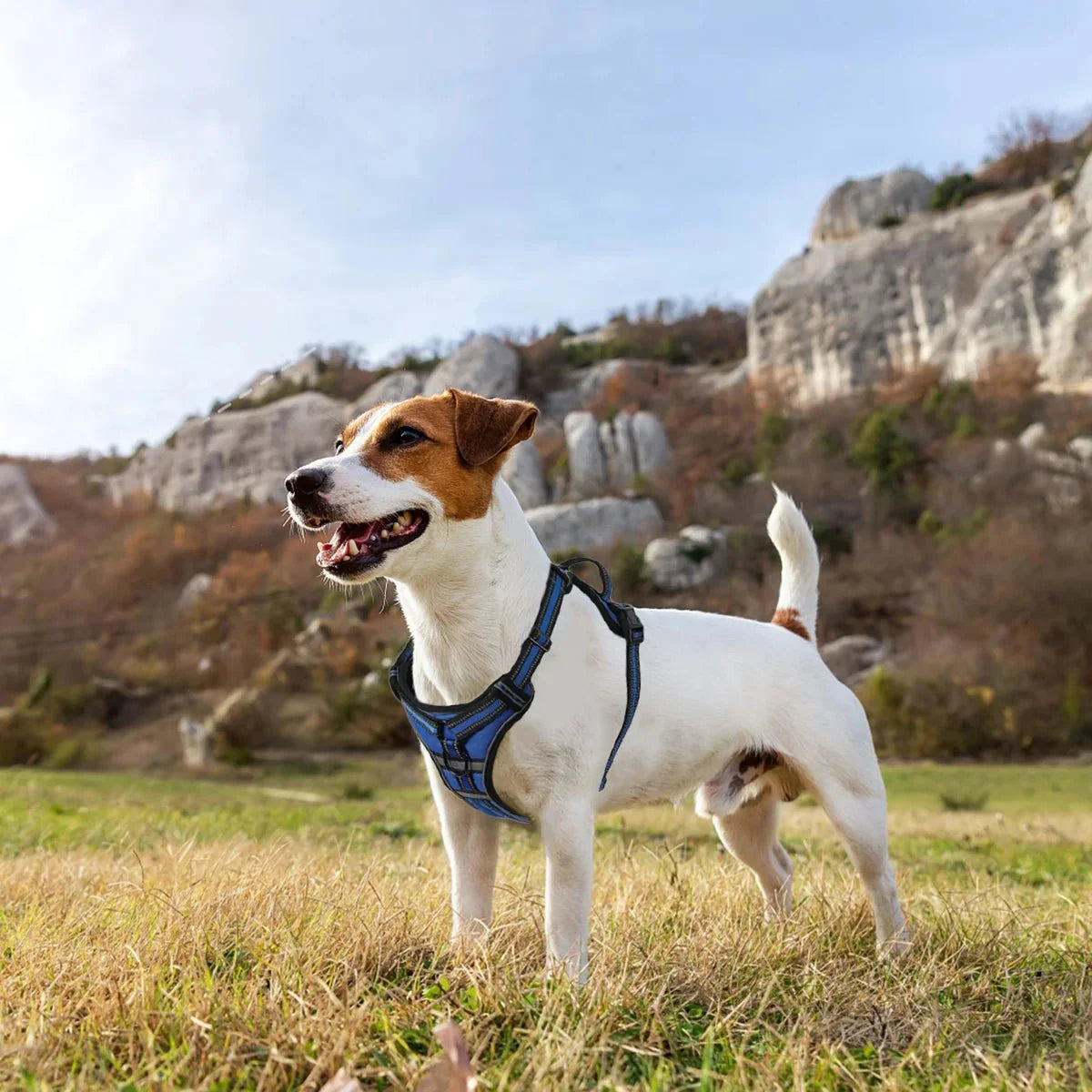 ReflectaGuard •  No Pull Dog Harness